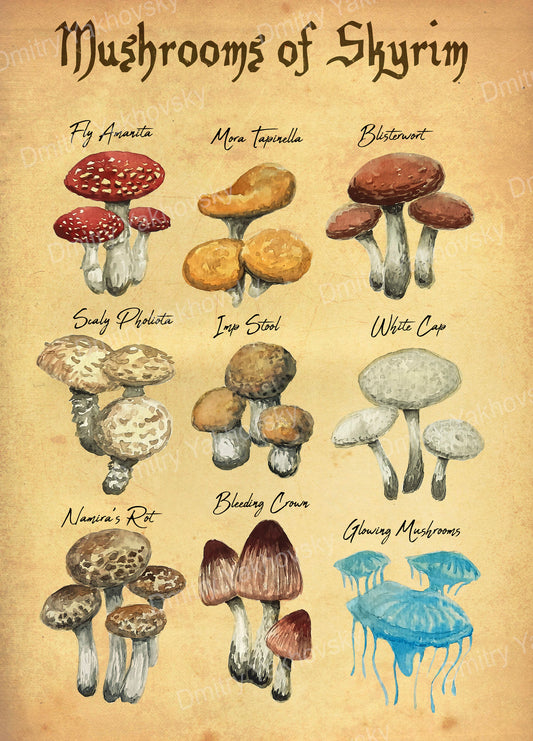 Mushrooms of Skyrim